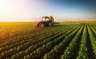 Recuperação judicial usada como ferramenta de gestão encarece crédito rural e leva crise ao agronegócio
