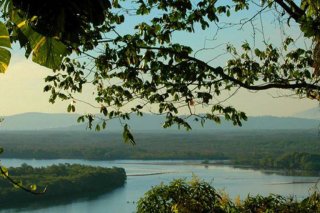 Justiça determina retirada de estruturas construídas em reserva biológica em Guaratiba