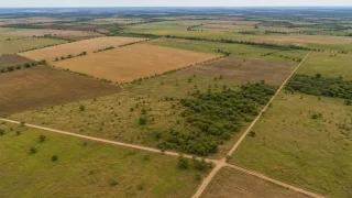 Fazenda penhorada será destinada à reforma agrária em Campos dos Goytacazes (RJ)