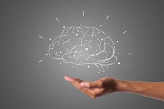 Declínio cognitivo: 7 insights para manter a saúde do cérebro em várias idades, segundo especialistas