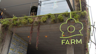 Farm abre loja em NY e mira mais três cidades nos EUA